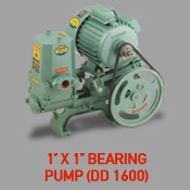 1'' x 1'' Bearing Pump (DD 1600)