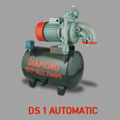 DS 1 Automatic