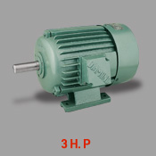 3 H. P
